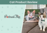 PortraitFlip Pet Portrait Review 2024: Our Expert’s Opinion